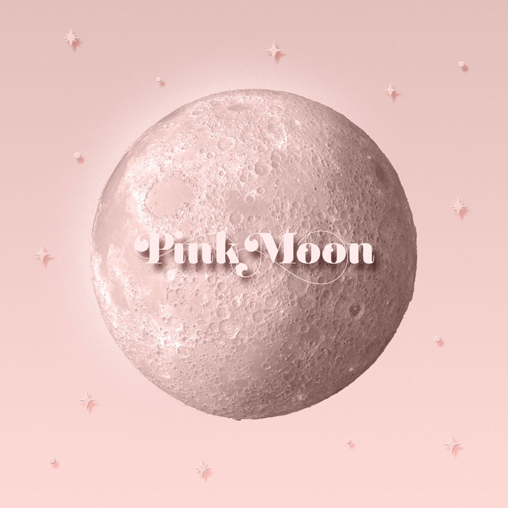 V.1.33.0.257.4 - DANCE IN THE MOONLIGHT