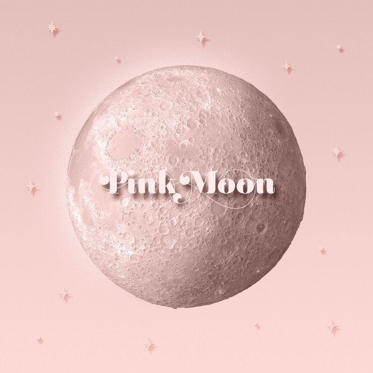 V.1.33.0.257.5 - DANCE IN THE MOONLIGHT