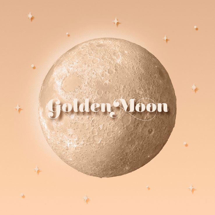 V.1.33.0.259.4 - DANCE IN THE MOONLIGHT