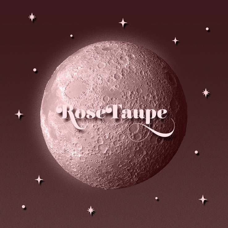 V.1.33.0.264.4 - DANCE IN THE MOONLIGHT
