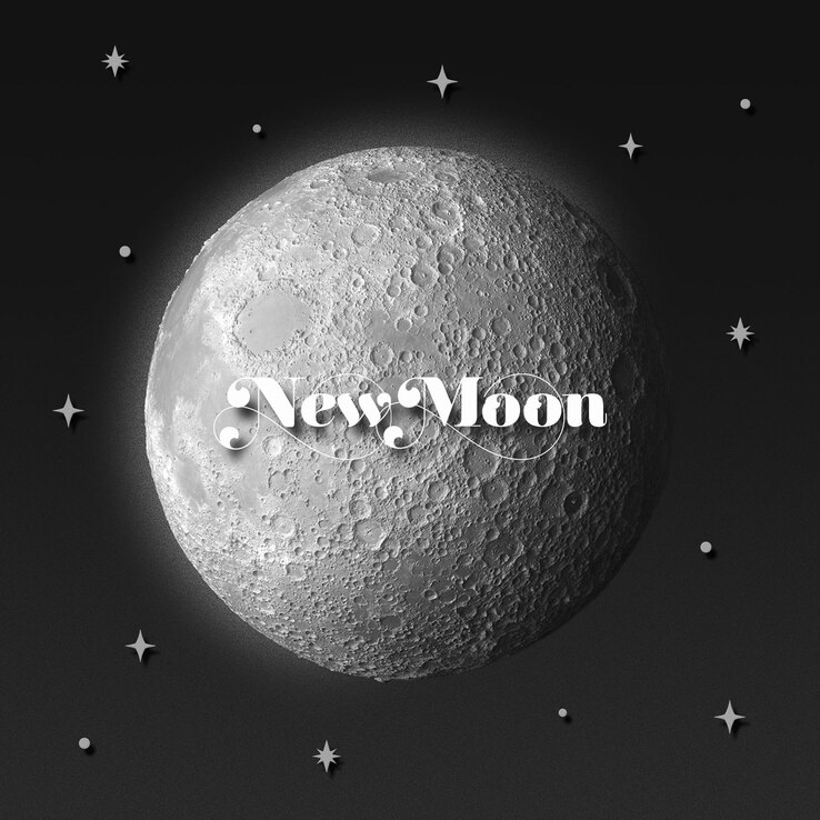 V.1.33.2.253.5 - DANCE IN THE MOONLIGHT