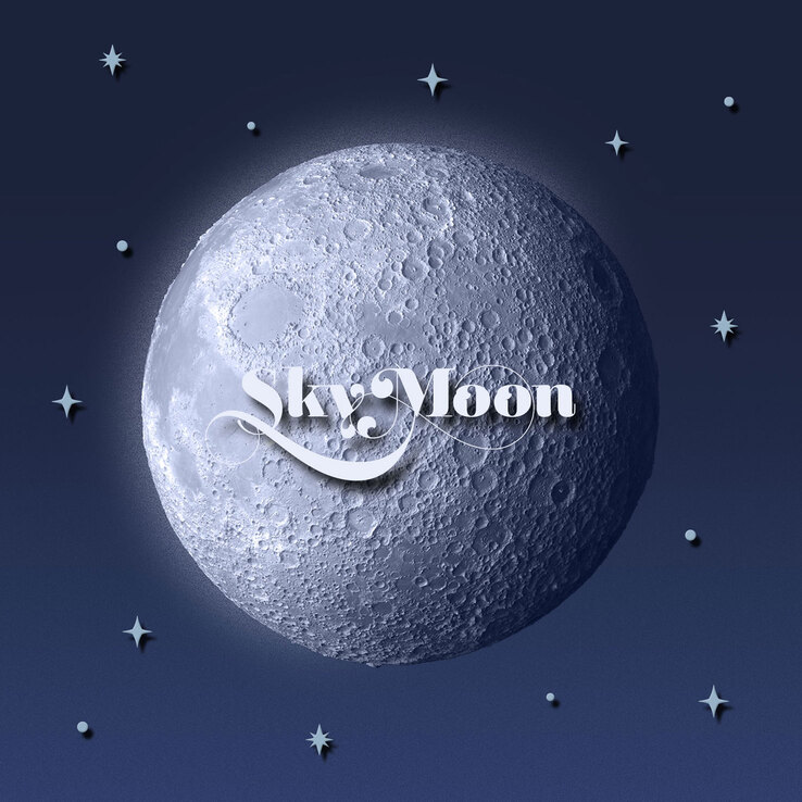 V.1.33.2.256.5 - DANCE IN THE MOONLIGHT