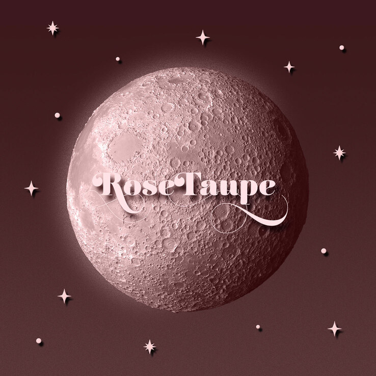 V.1.33.2.265.5 - DANCE IN THE MOONLIGHT